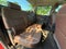 2017 Chevrolet Silverado 3500 HD High Country